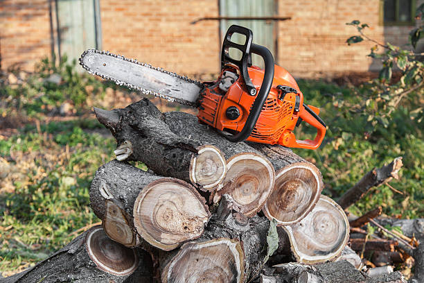 Best Emergency Tree Service  in Shenandoah, TX